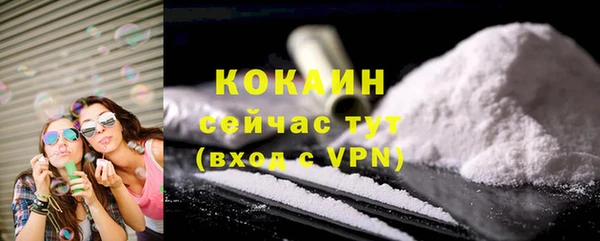 индика Домодедово