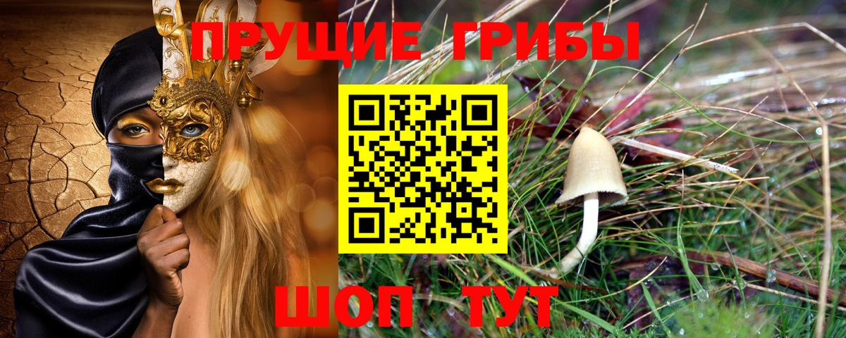 Псилоцибиновые грибы MAGIC MUSHROOMS  Вход с VPN  Псилоцибиновые грибы Psilocybe  Псков 