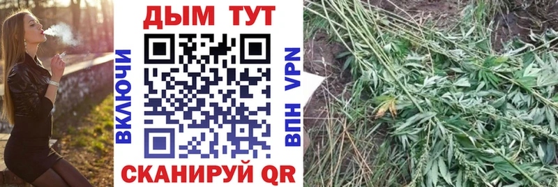 Бошки Шишки THC 21%  где продают наркотики  MEGA как зайти  Псков 